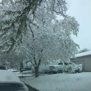 Meet your Posher, Bianca